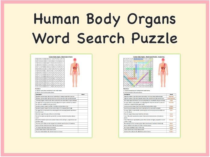 Human Body Organs - Word Search Puzzle Worksheet Activity, Printable PDF