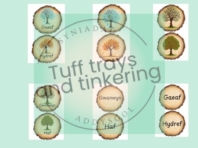 Tymhorau seasons log slices Curriculum for Wales Early Years PS1 addysg Cymraeg