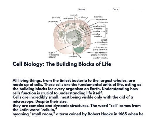biology 0610 past papers notes - Biology 8461- aqa biology specification a level : Cell Biology