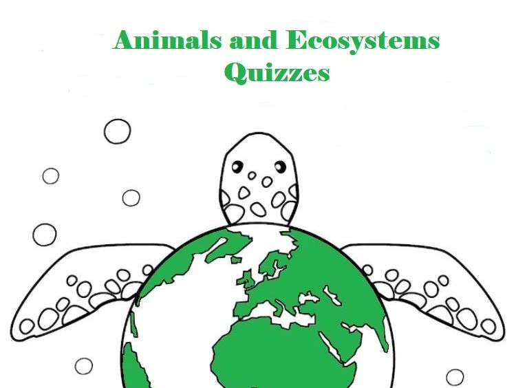 Animal and Ecosystems Trivia