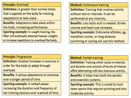 GCSE PE OCR 9-1 Revision Flash Card bundle | Teaching Resources