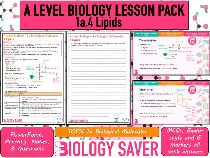 A Level Bio Lesson - 1a.4 Lipids
