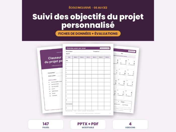 French SEN Goal Tracking & Assessments