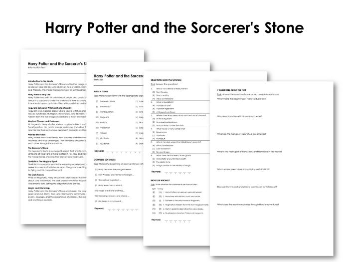 The Movie "Harry Potter and the Sorcerer's Stone" | Teaching Resources