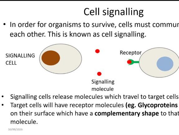 Complete A-Level Biology Lesson: Cell Signalling & Membrane Receptors