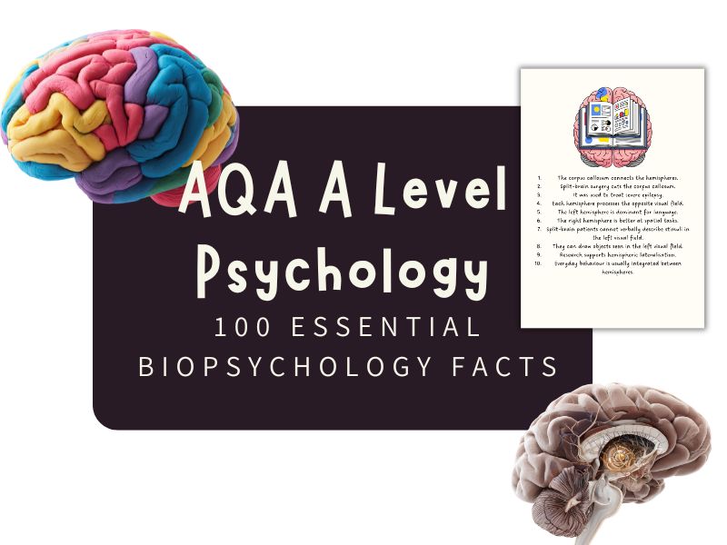 AQA A Level Psychology: 100 Essential Biopsychology Facts