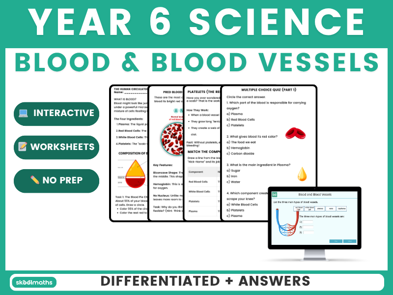 Blood and Blood Vessels Year 6 | KS2 Science Worksheets & Assessment Pack