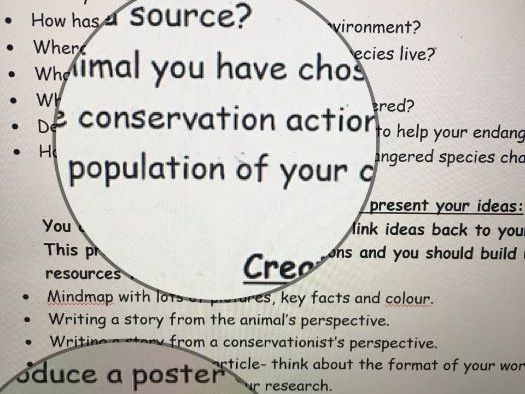 Endangered Species Project Cover Work