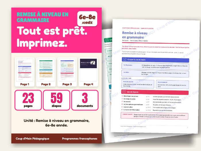 French Grammar Review Back to School Grade 6-8 | Remise à niveau en grammaire
