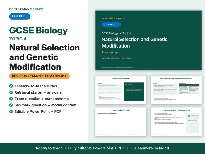 Edexcel GCSE Biology Topic 4 Natural Selection & GM Revision Lesson