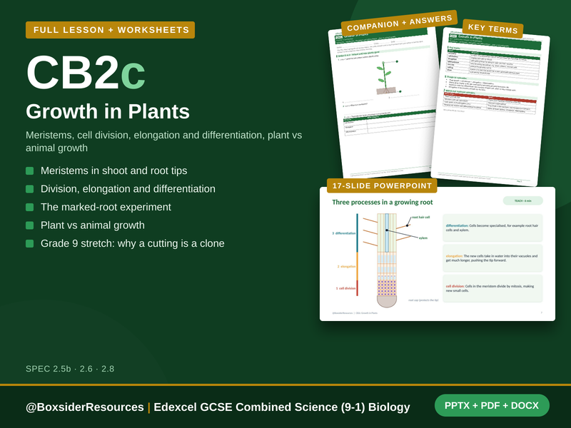 CB2c Growth in Plants | Edexcel GCSE Combined Science (9-1) | Lesson + Worksheet