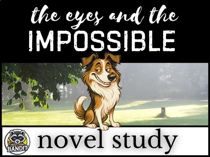 THE EYES AND THE IMPOSSIBLE Novel Study