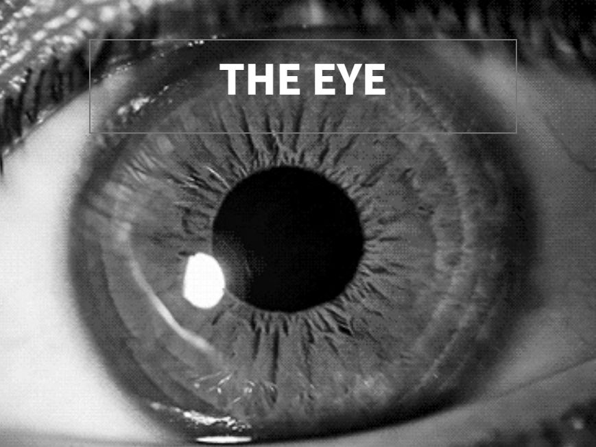 The Eye (A-level)