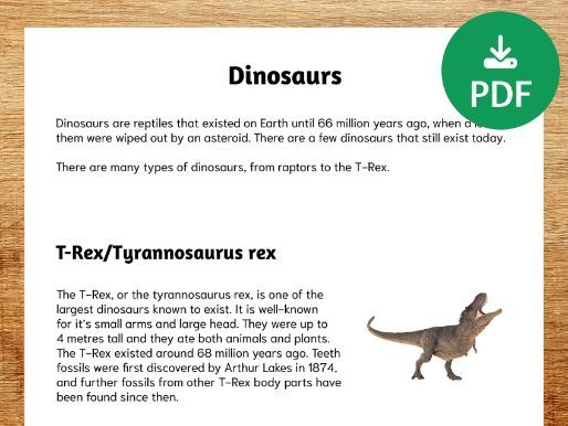 Dinosaurs comprehension worksheet
