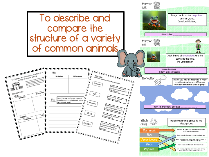 Year 1 To describe and compare a variety of common animals.