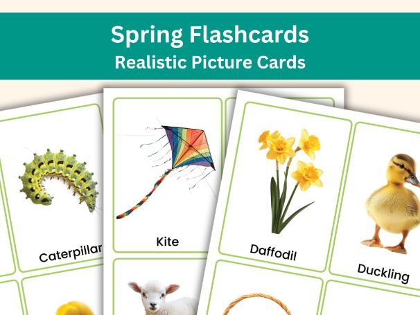 Spring Flashcards – 44 Realistic Printable Cards | Educational Learning
