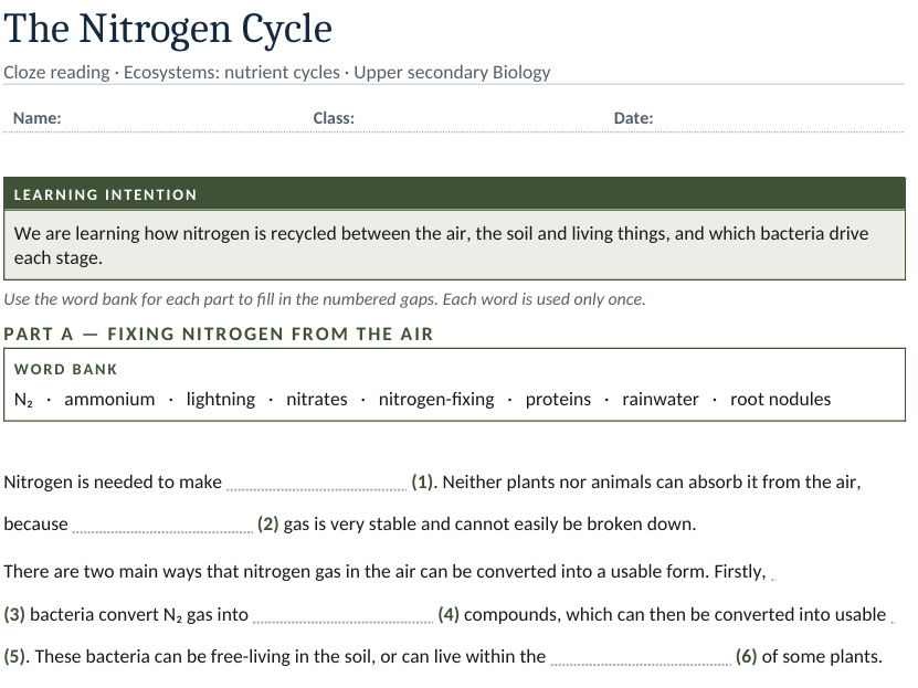 Nitrogen Cycle Cloze Reading