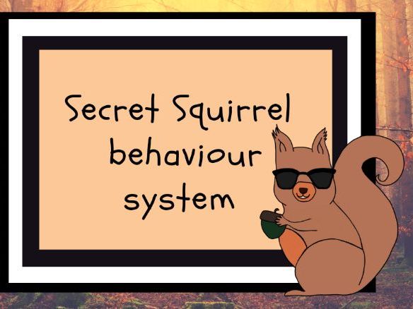 Behaviour management system - Secret Squirrel