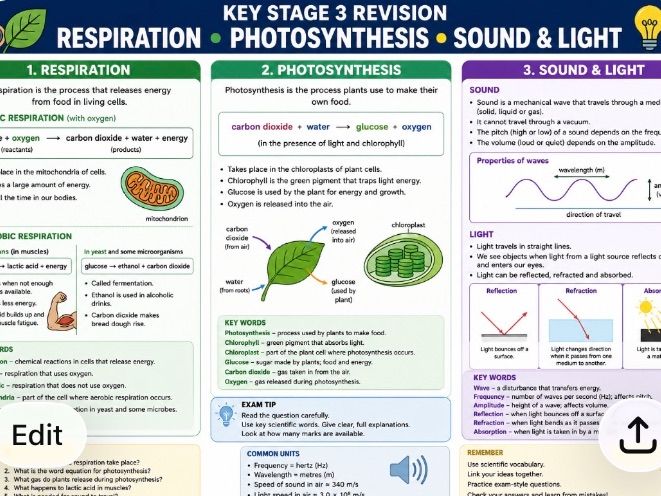 K3 Science Revision