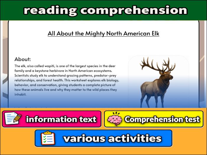 All About the Mighty North American Elk - zoology & Activities
