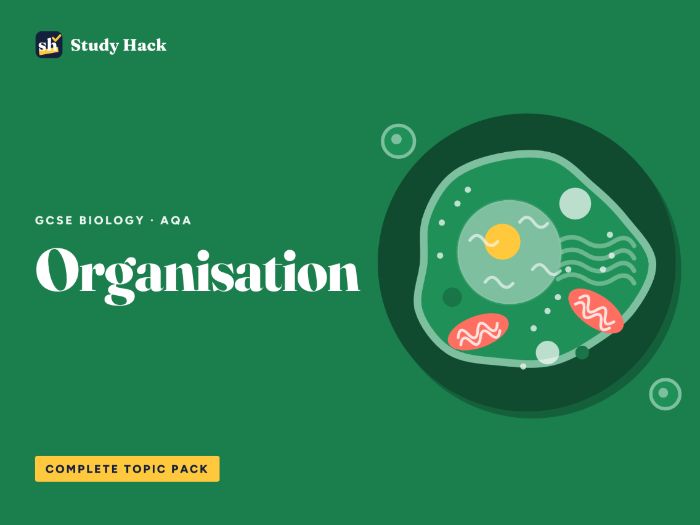 GCSE Biology Organisation Complete Pack (AQA)