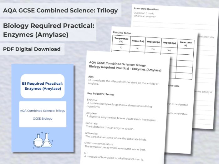 AQA GCSE Biology Required Practical: Enzymes (Amylase) – Student Worksheet & AQA‑Style Mark Scheme