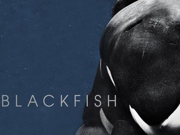 Complete Blackfish Study Unit for BGE