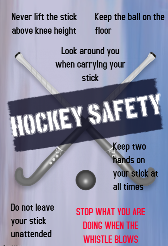 Hockey Safety Poster Teaching Resources