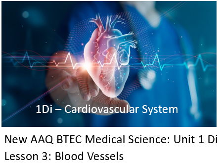 NEW: AAQ BTEC Medical Science Unit 1Di Cardiovascular System - Lesson 3: Blood Vessels