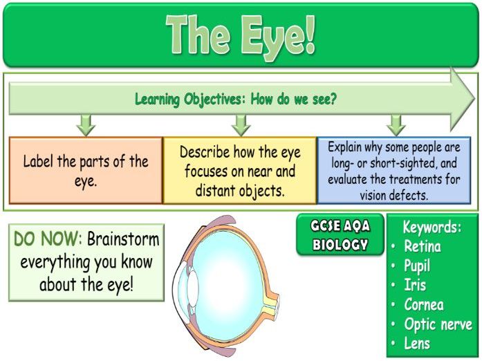 The Eye AQA GCSE (9-1) Biology
