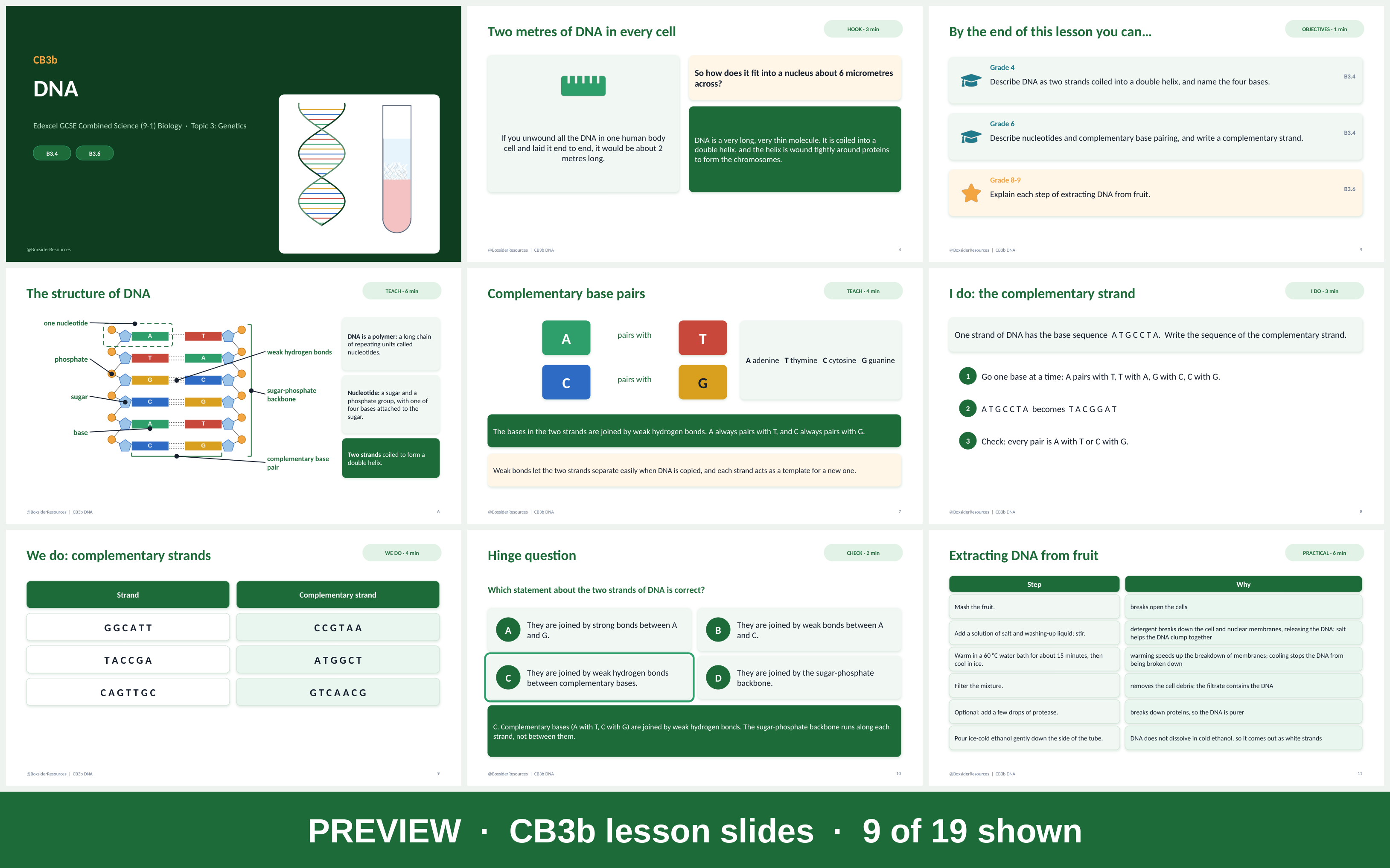 Lessoan CB3b DNA | Edexcel GCSE Combined Science (9-1) | Lesson + Worksheet ...