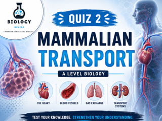 Edexcel AS Level  Biology Mammalian Transport Quiz 2