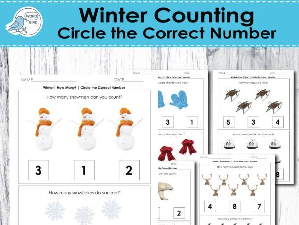 Winter Counting Worksheets Real Photos Preschool and Special Education