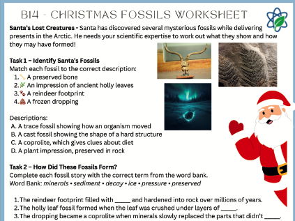 B14/Fossils/Christmas Worksheet Lesson WIth Answers/Genetics & Evolution/AQA/GCSE/Combined Science