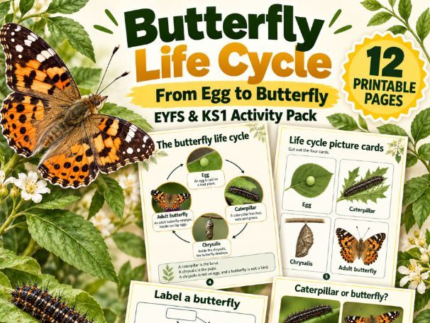 Butterfly Life Cycle Activity Pack | EYFS & KS1 | Sequencing, Science & Writing