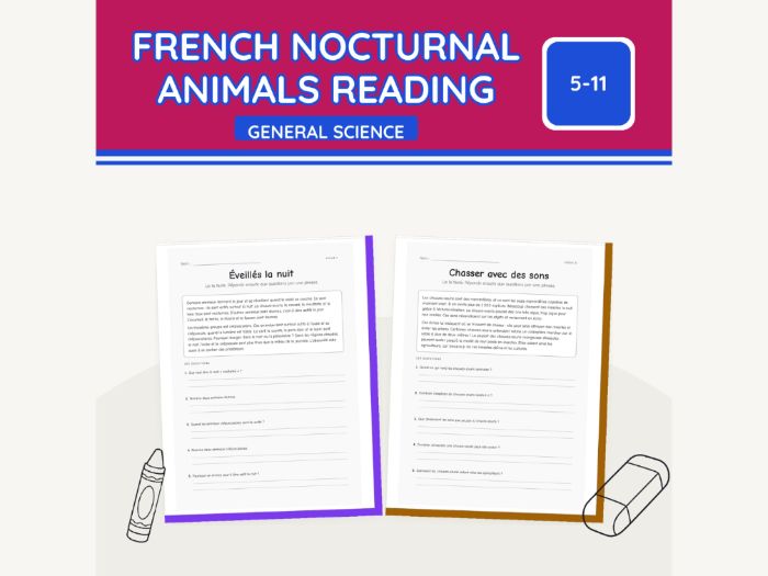 French Nocturnal Animals Reading | 10 pp
