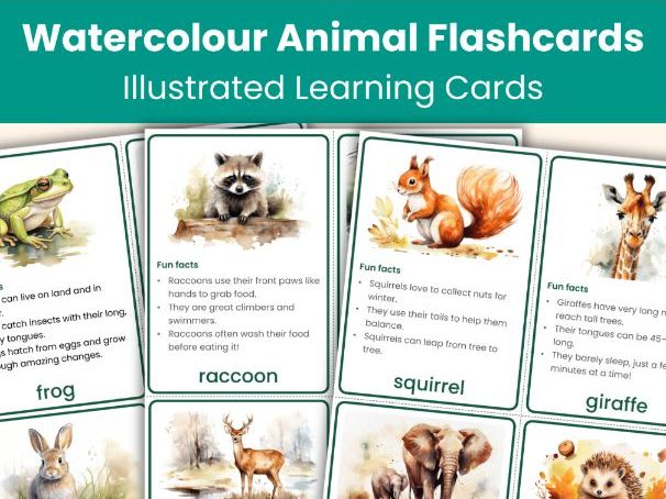 Animal Flashcards | Watercolour Animals with Fun Facts | Printable Cards
