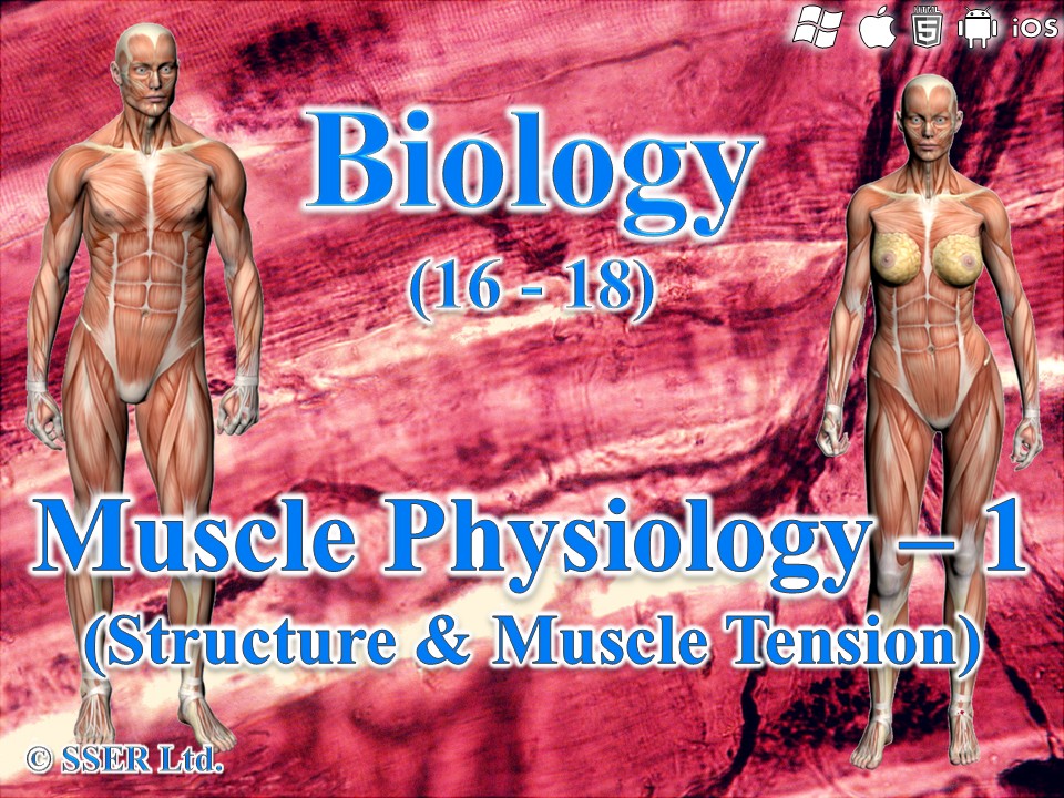 BioA_3.6.3 Muscle Physiology 1 - Structure and Muscle Tension