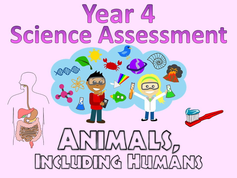 Year 4 Science Assessments Posters Revision Sheets Teaching Resources