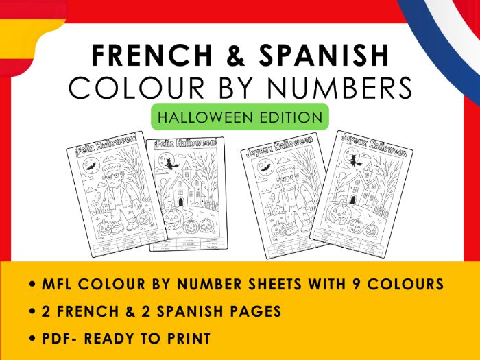 French & Spanish Colour by Number Activities – End of Term Fun!