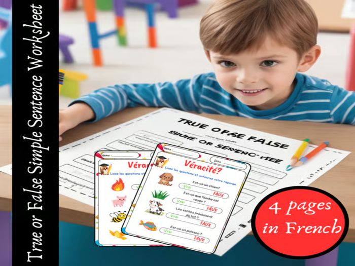 True or False Simple Sentence Worksheet for Kids