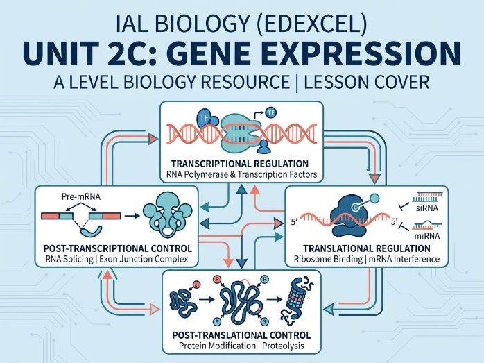 2C Gene Expression
