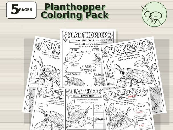 Planthopper Coloring Pages | Rare Garden Insect Science Pack for Kids (PreK-Grade 3)