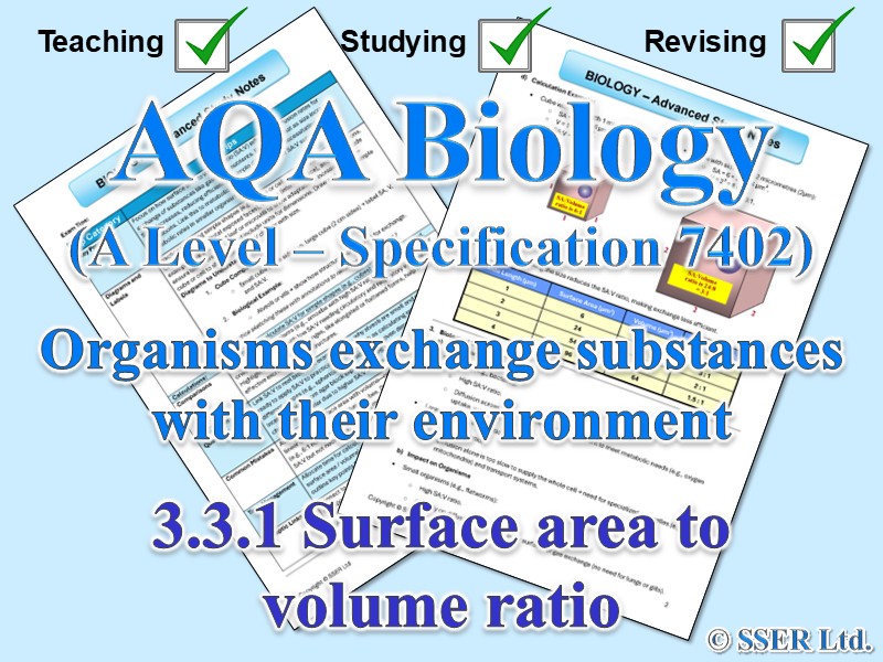 BIOA_AQA Topic Notes: 3.3.1 Surface area to volume ratio