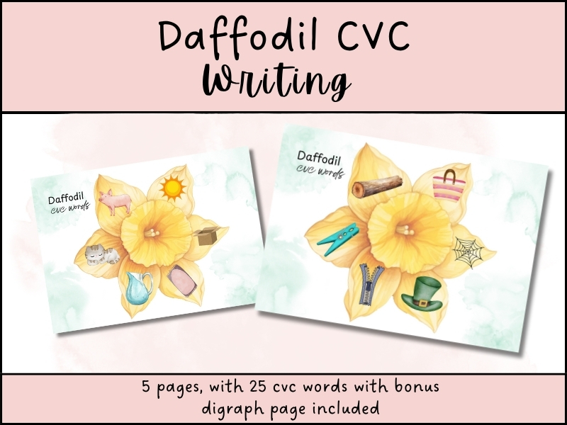 St David’s Day CVC & Digraph Daffodil