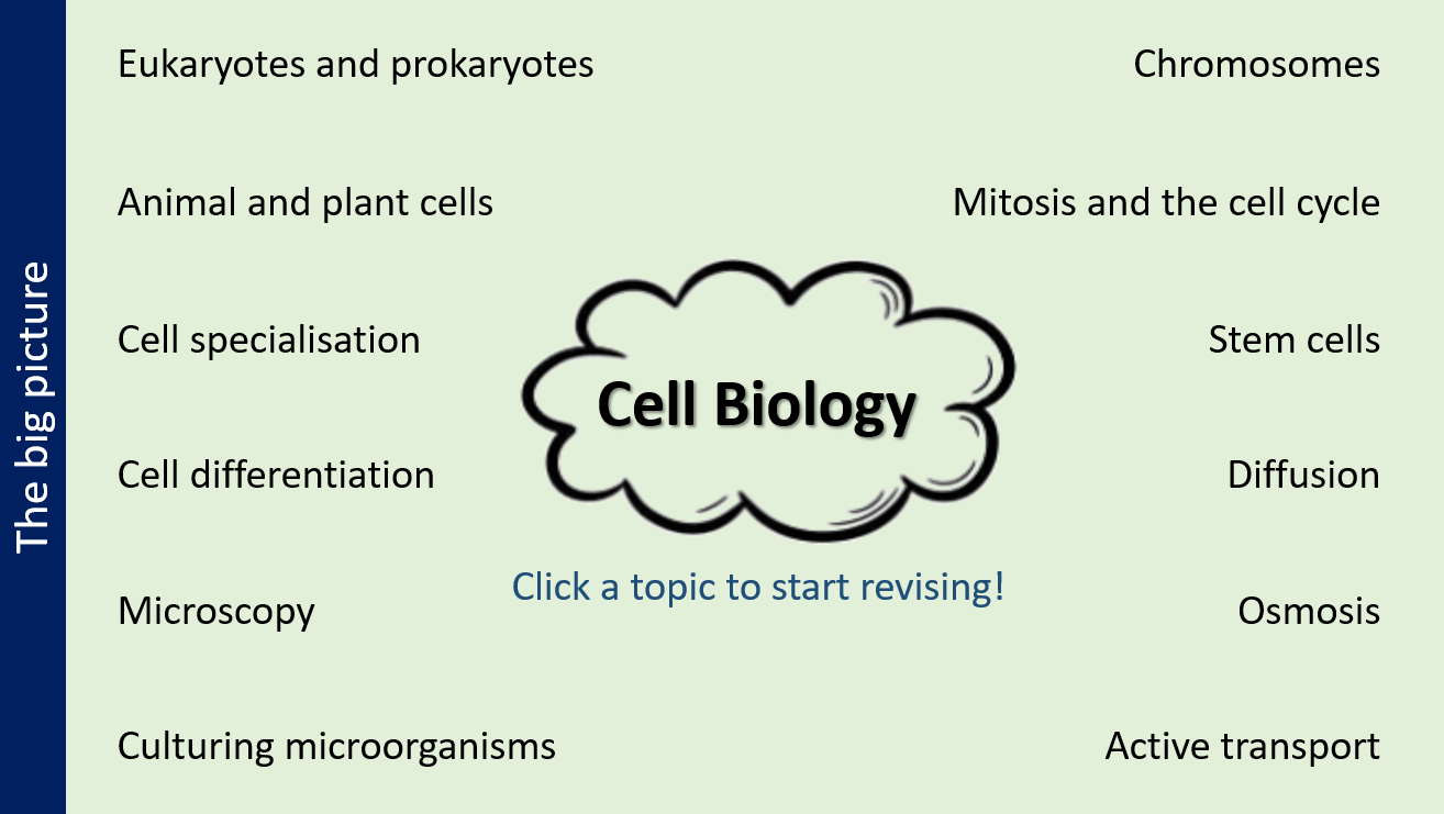 Cell Biology Revision/Intervention AQA GCSE Biology | Teaching Resources