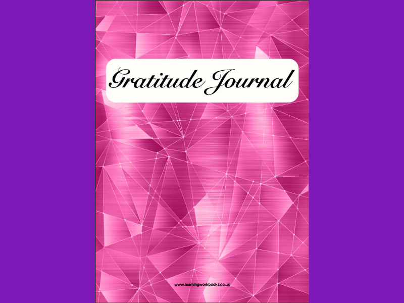 Hot Pink Gratitude Journal 2