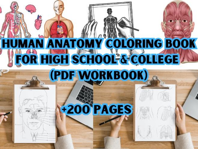Human Anatomy Coloring Book for High School & College (PDF Workbook)