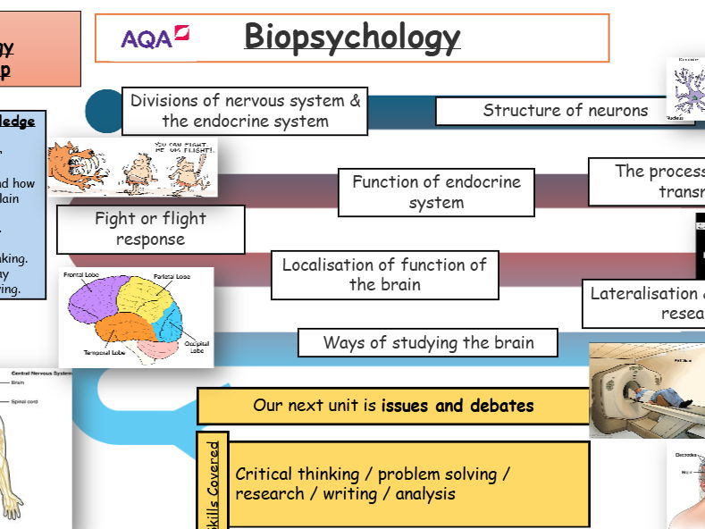 AQA A Level Psychology Biopsychology Lessons | Complete Teaching Pack | Retrieval, Activities & Exam