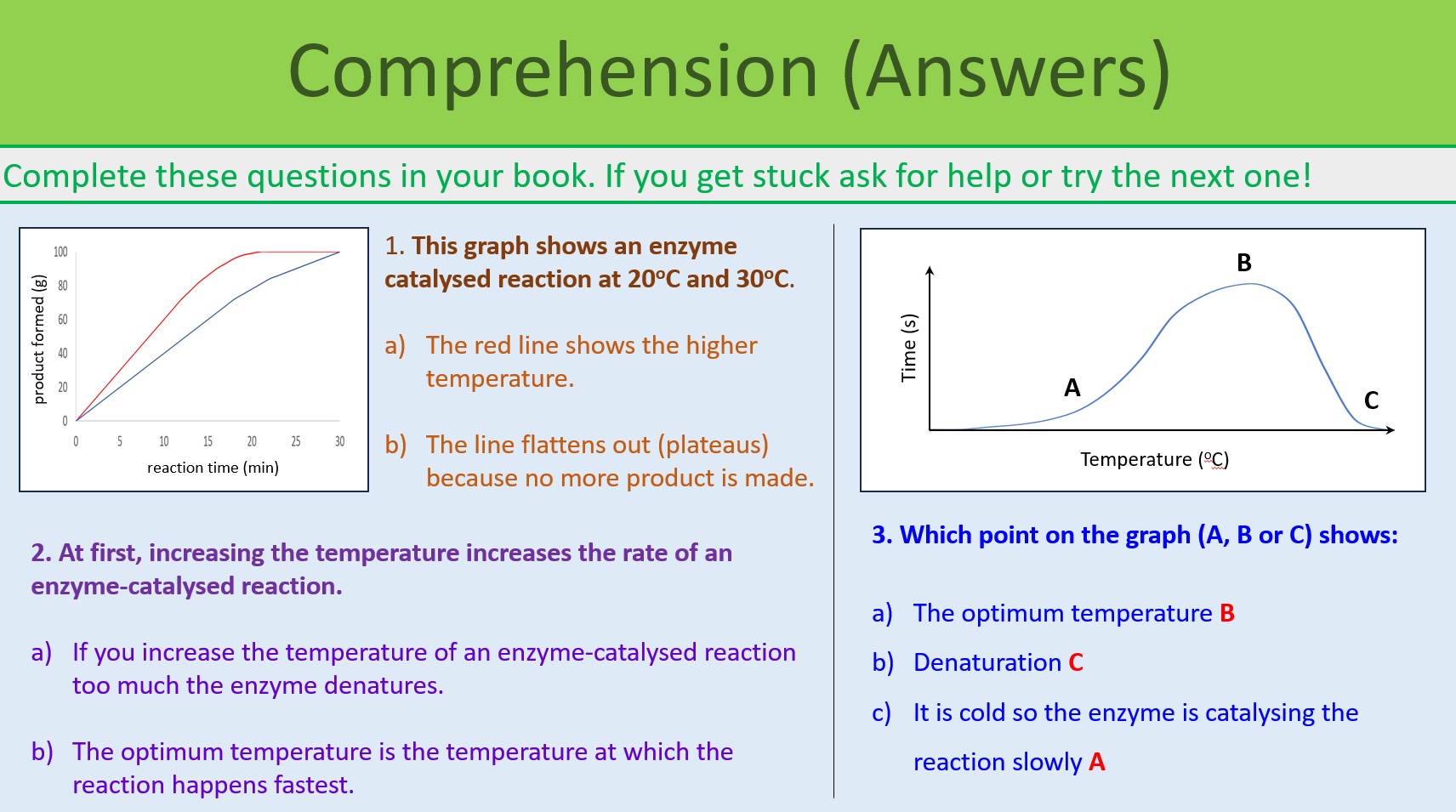 Enzymes and Digestion Lesson GCSE Biology Teaching Resources
